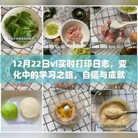 12月22日vi实时打印日志,学习之旅中的变化与成就感的魔法时刻