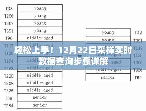 轻松上手!实时数据查询步骤详解(12月22日采样)
