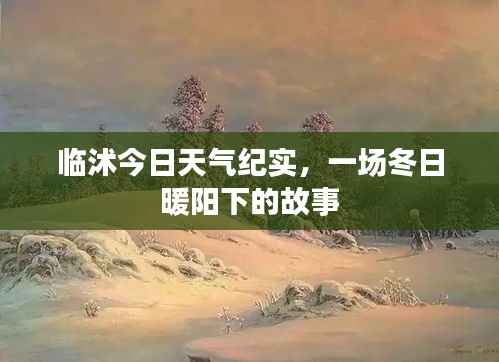 临沭冬日暖阳下的天气纪实