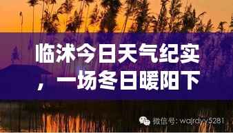 临沭冬日暖阳下的天气纪实