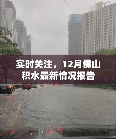 实时更新,佛山12月积水最新情况报告