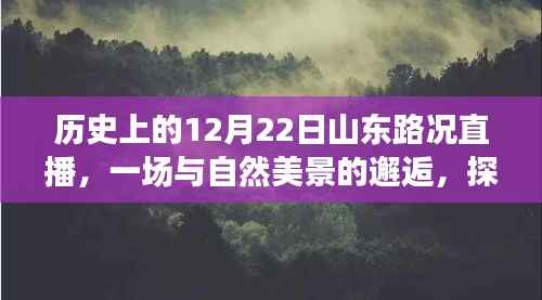 历史上的山东路况直播,与自然美景的邂逅与内心平静之旅