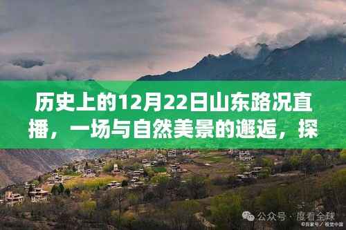 历史上的山东路况直播,与自然美景的邂逅与内心平静之旅