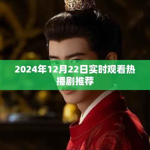 推荐热播剧,实时观看指南(2024年12月22日)