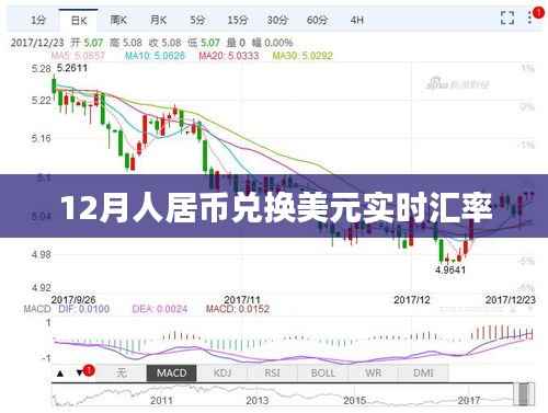 人居币与美元实时汇率查询