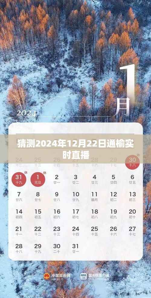 通榆直播预告,揭秘2024年12月22日实时直播精彩瞬间