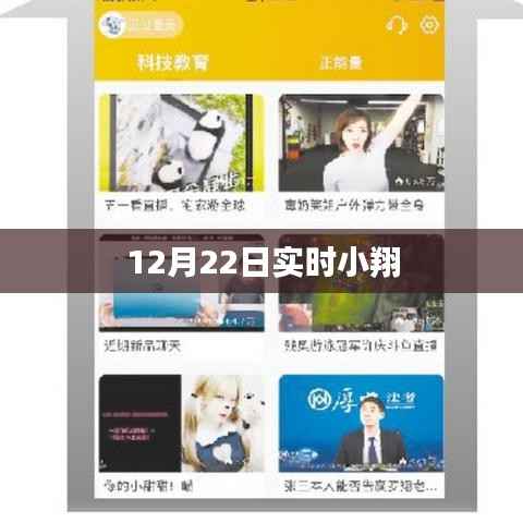 实时更新,小翔动态,12月22日最新资讯