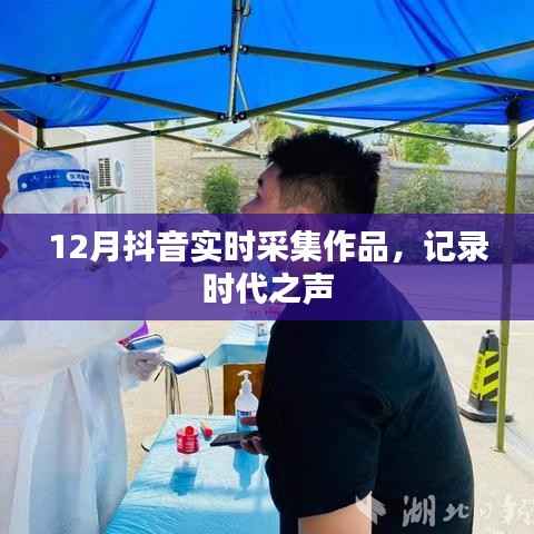 抖音实时作品记录时代之声,12月精选作品集
