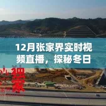 贵阴贱璧 第4页