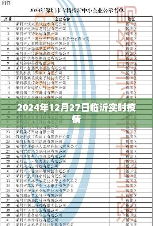 临沂实时疫情更新,最新数据报告(时间,2024年12月27日)