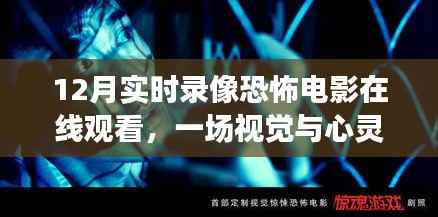 12月恐怖电影在线观看,惊悚之旅实时录像