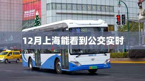 上海公交实时查询系统,随时掌握公交动态