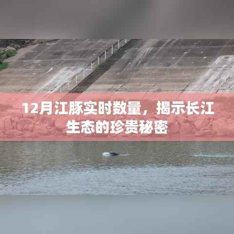 长江生态揭秘,江豚实时数量揭示珍稀秘密