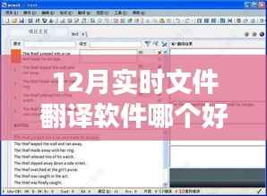实时文件翻译软件推荐,12月优选榜单