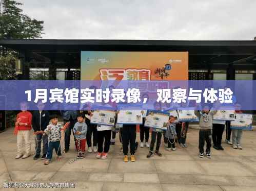 宾馆一月实时录像,深度观察与体验