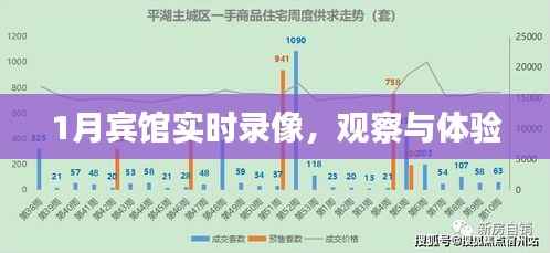 宾馆一月实时录像,深度观察与体验
