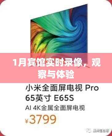 宾馆一月实时录像,深度观察与体验