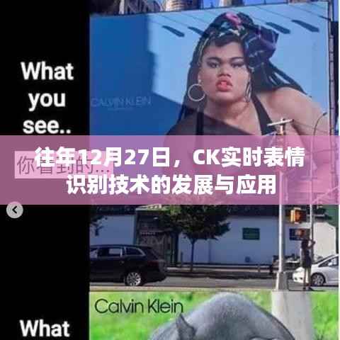 CK实时表情识别技术,发展与应用的最新动态