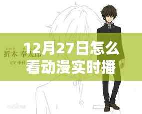 动漫实时播放量观看指南,12月27日热门动漫播放量解析