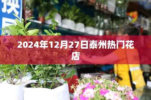 泰州热门花店推荐(2024年12月27日)