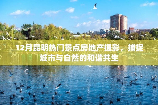 昆明房地产摄影,捕捉城市与自然和谐共生美景