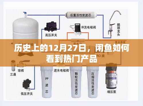 闲鱼热门产品查看指南,揭秘历史日期与热门商品关联内幕