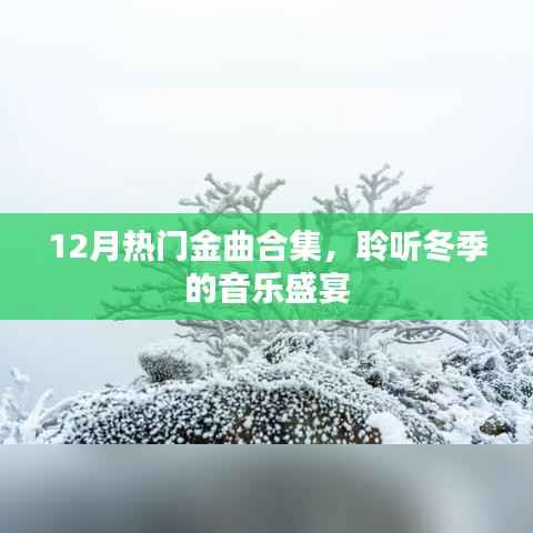 冬季音乐盛宴，12月热门金曲大合集