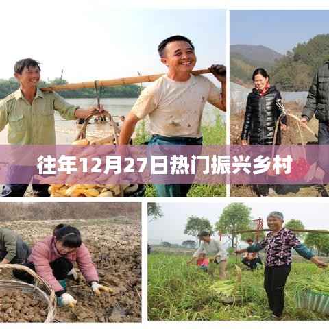 往年12月27日乡村振兴热潮涌动