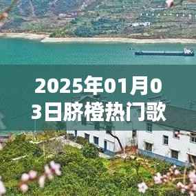 小家碧玉 第3页