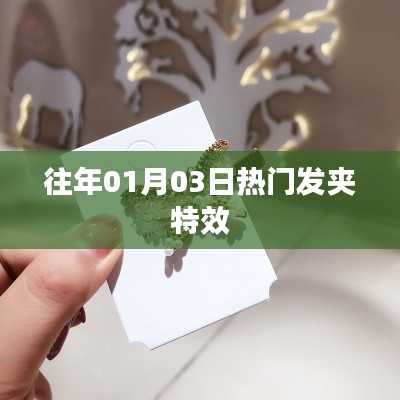 精选发夹特效,历年一月初大受欢迎