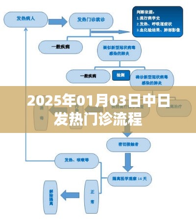 中日发热门诊流程对比,2025年1月3日数据解析