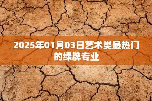 揭秘,2025年最火艺术类绿牌专业