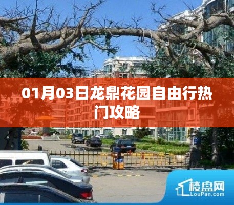 龙鼎花园自由行指南,热门攻略一网打尽