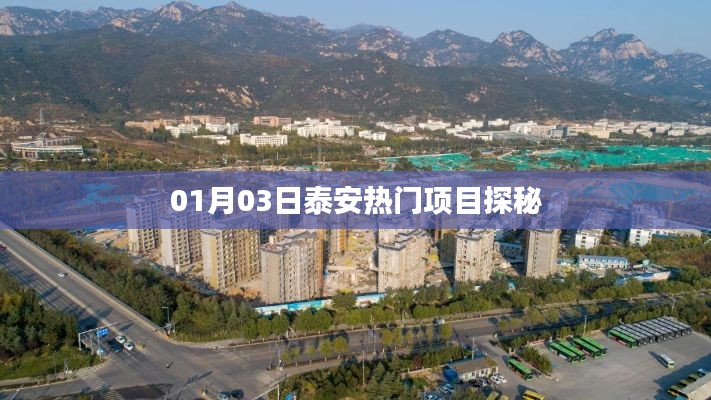泰安热门项目探秘,探访最新动态