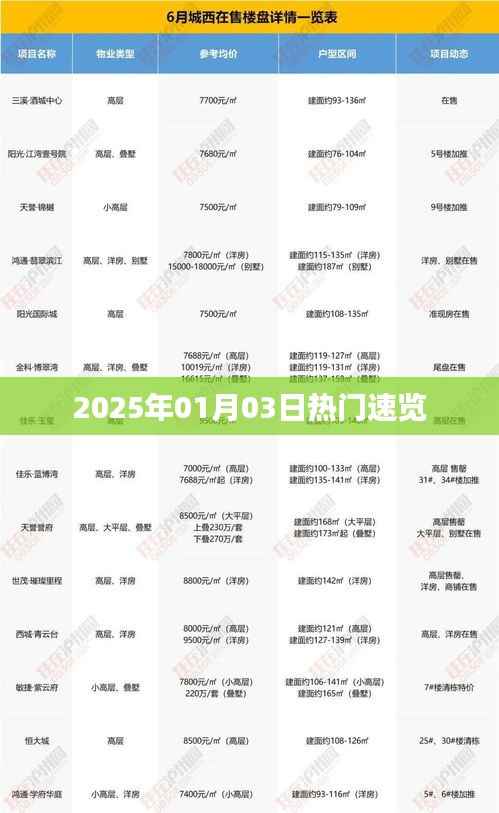2025年新年热门速览,最新资讯一网打尽