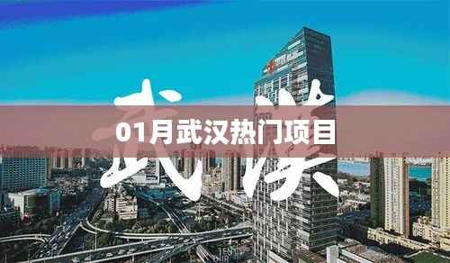 武汉一月份热门项目盘点