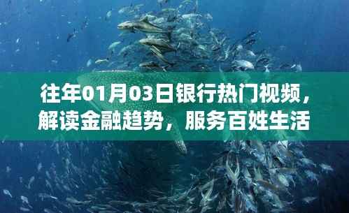 解读金融趋势,银行热门视频回顾,服务百姓生活