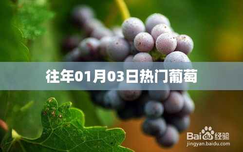 葡萄历年元旦后热门风采揭秘