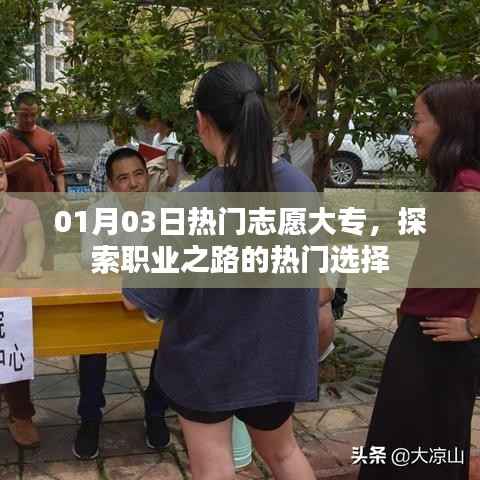 热门志愿大专,探索职业之路首选