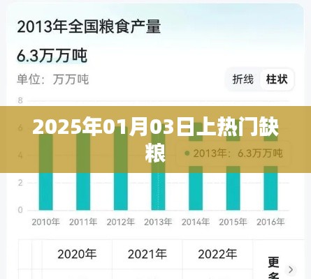热门缺粮现象,聚焦全球粮食危机
