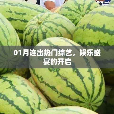 热门综艺连番来袭,娱乐盛宴一月份开启