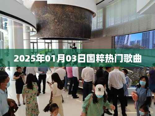 国粹经典,2025年热门歌曲回顾