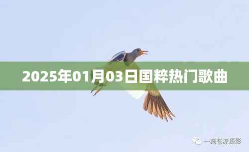 国粹经典,2025年热门歌曲回顾
