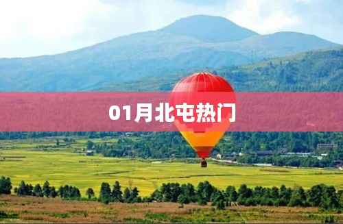 北屯一月热门事件全解析