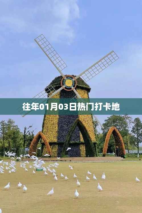 「历年一月初热门打卡胜地回顾」