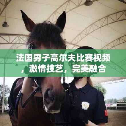 法国男子高尔夫比赛视频,激情技艺,完美融合