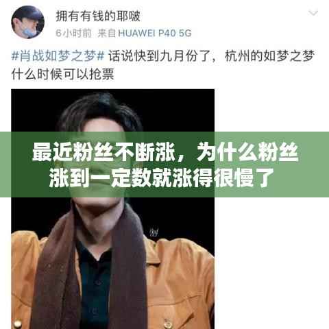 最近粉丝不断涨,为什么粉丝涨到一定数就涨得很慢了