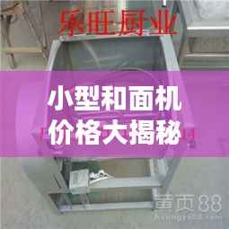 忠心耿耿 第3页