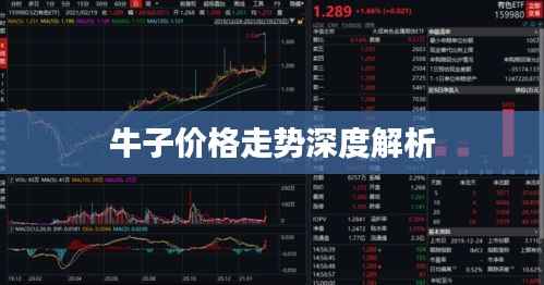 牛子价格走势深度解析
