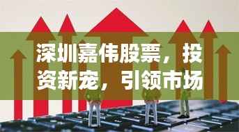 深圳嘉伟股票,投资新宠,引领市场风向标